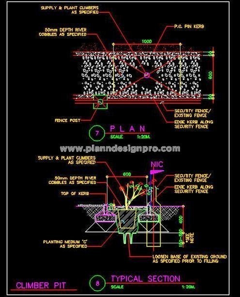 Climbing Plant Landscape Drawing- Plan and Section DWG