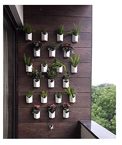 Planters Blume Prism Indoor and Outdoor Wall Hanging Planter -Pack of 12